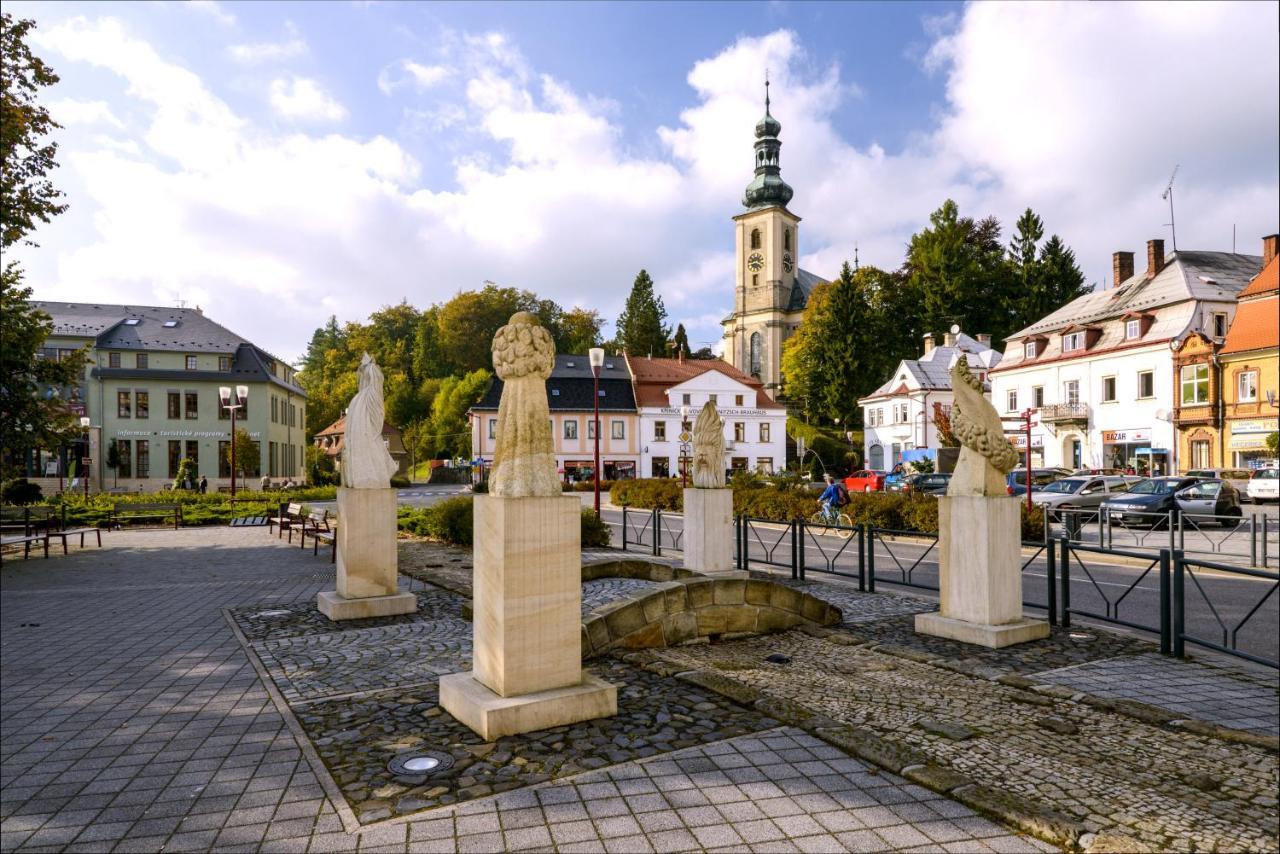 Apartman - Dum Ceskeho Svycarska Krásná Lípa Exterior foto