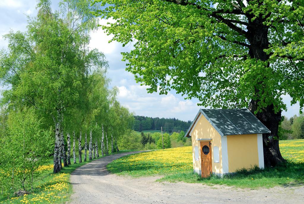 Apartman - Dum Ceskeho Svycarska Krásná Lípa Exterior foto